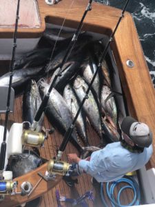Outer Banks Fishing Charter boat Man with Yellowfin Tuna