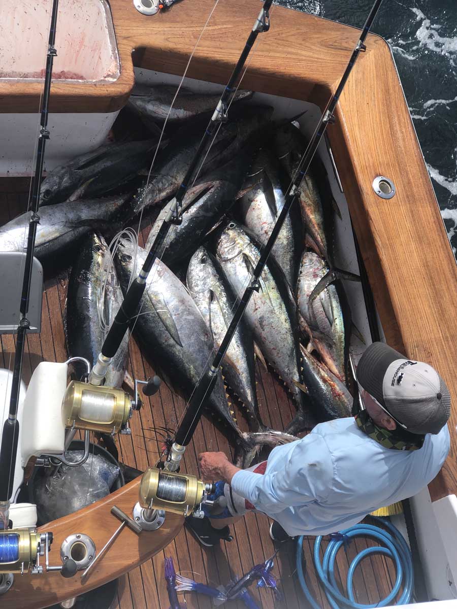 Outer Banks Fishing Charter boat Man with Yellowfin Tuna