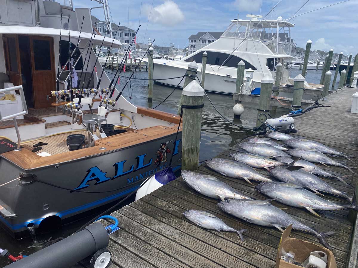 All-in Sportfishing Boat on dock with tuna catches on display
